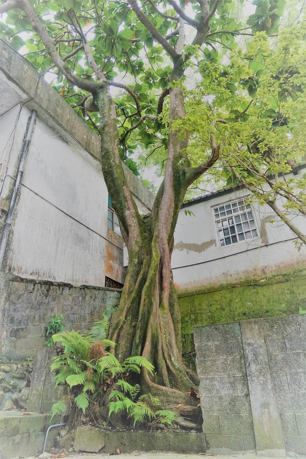 Literature River Bank 文學河岸 民宿 Chua-lien Exteriér fotografie